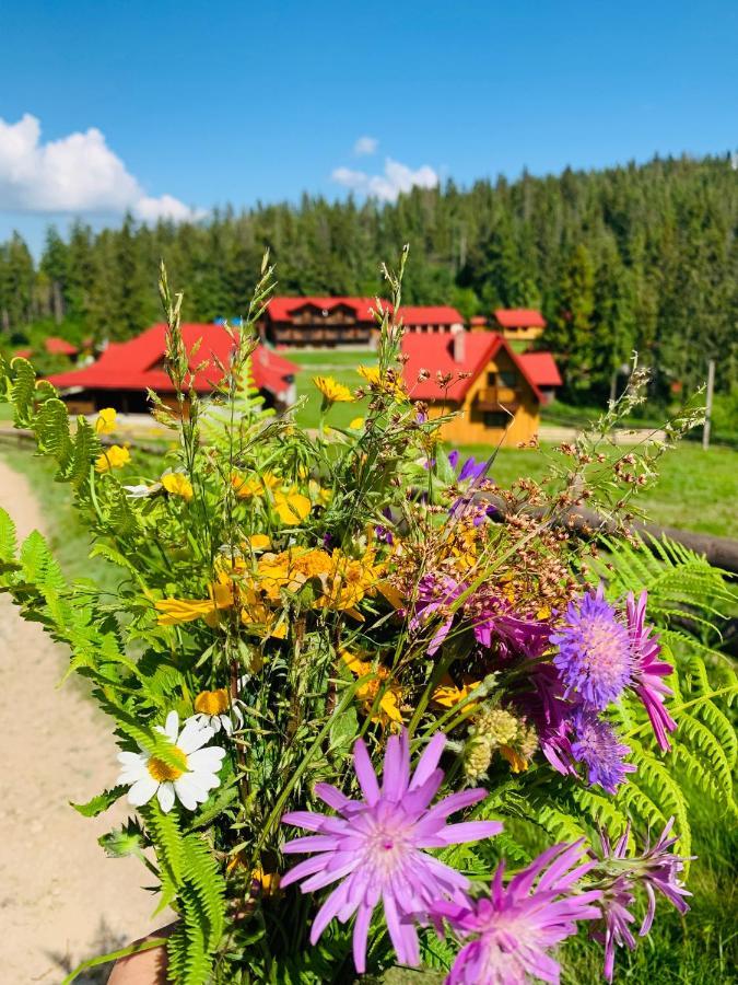 Villa Baza Vidpochynku Ilz Slawske Exterior foto